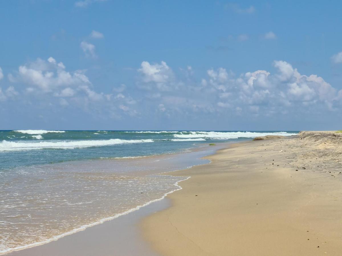 Hotel Ocean Vibe Arugam Bay Zewnętrze zdjęcie