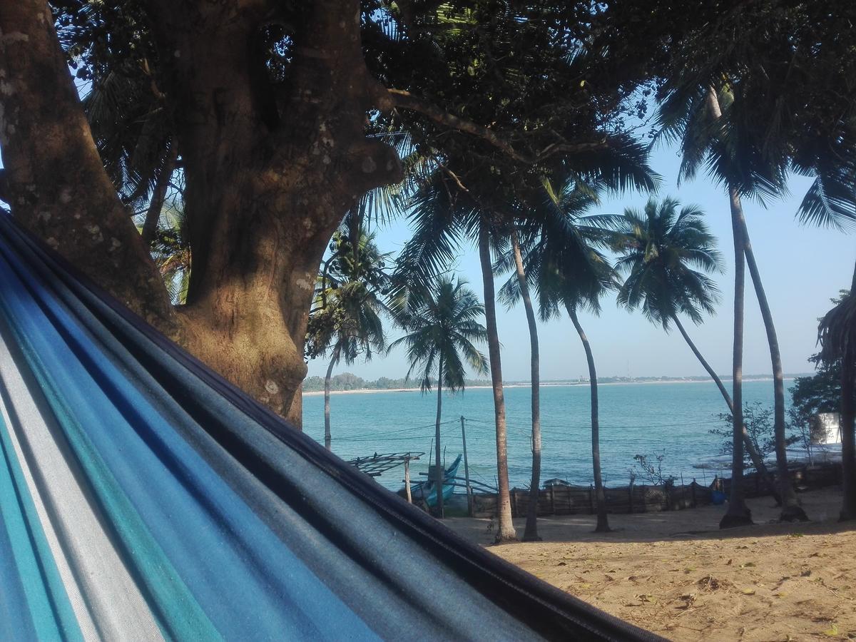 Hotel Ocean Vibe Arugam Bay Zewnętrze zdjęcie